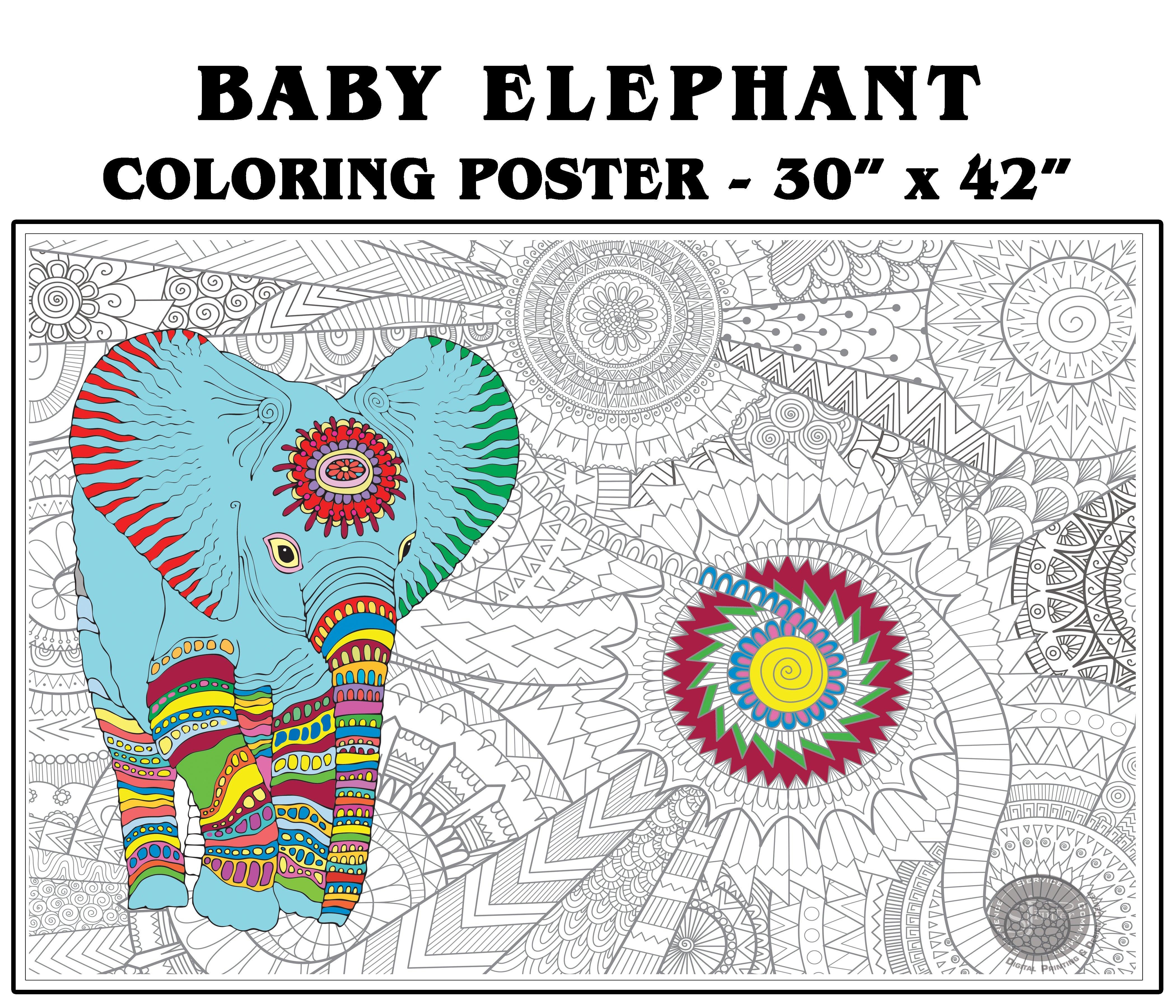 Baby Elephant - 30" x 42" - SJPrinter 