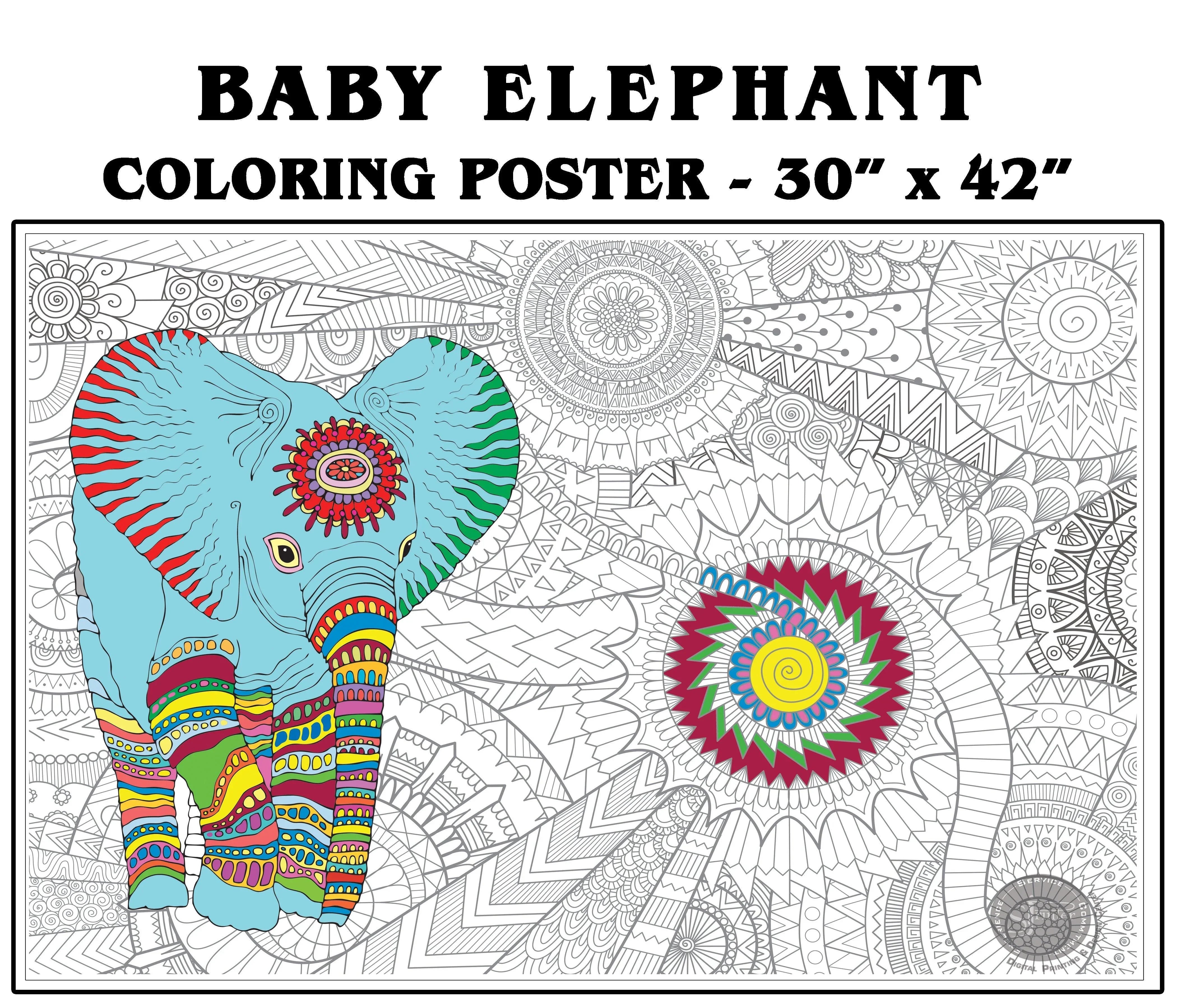 Baby Elephant - 30" x 42" - SJPrinter