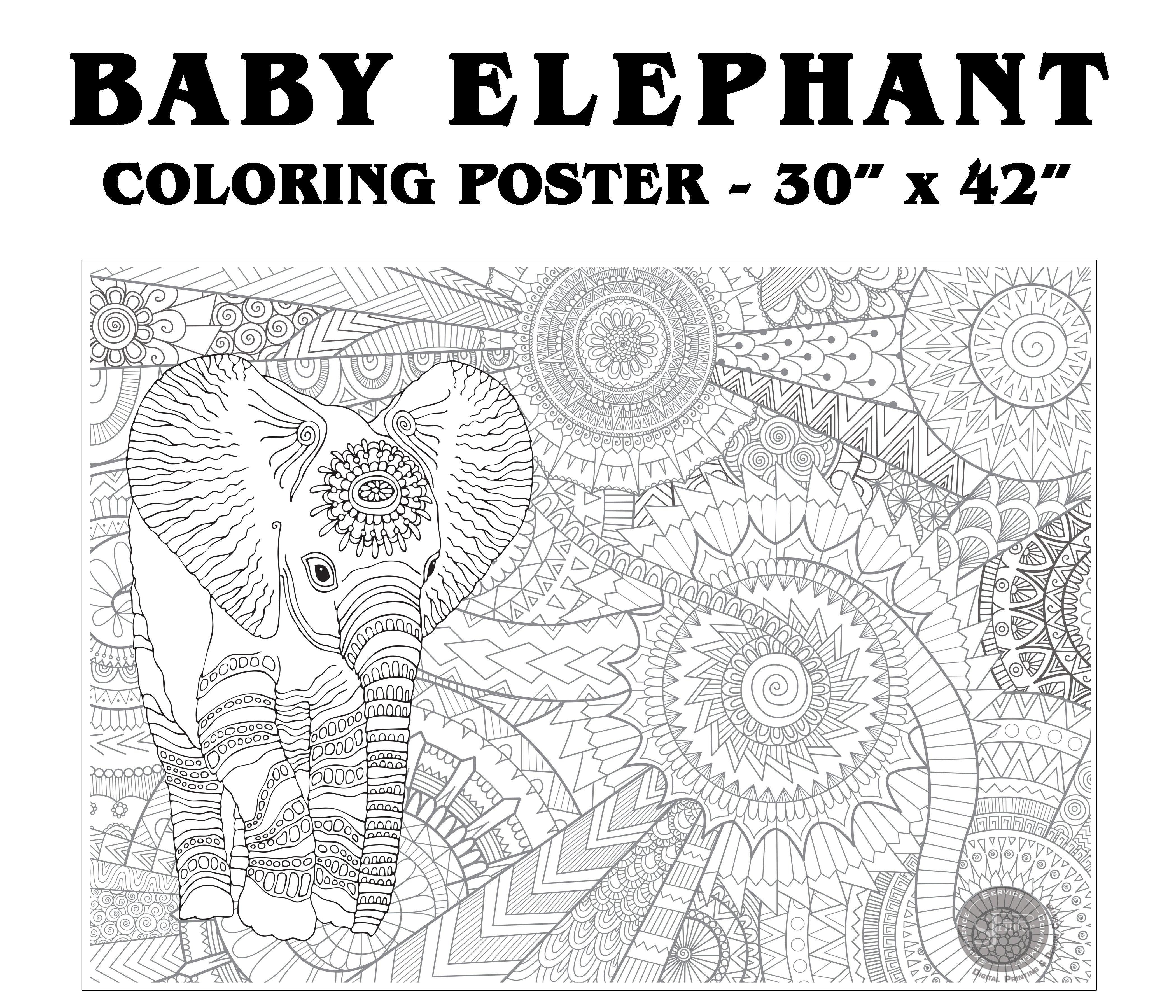 Baby Elephant - 30" x 42" - SJPrinter