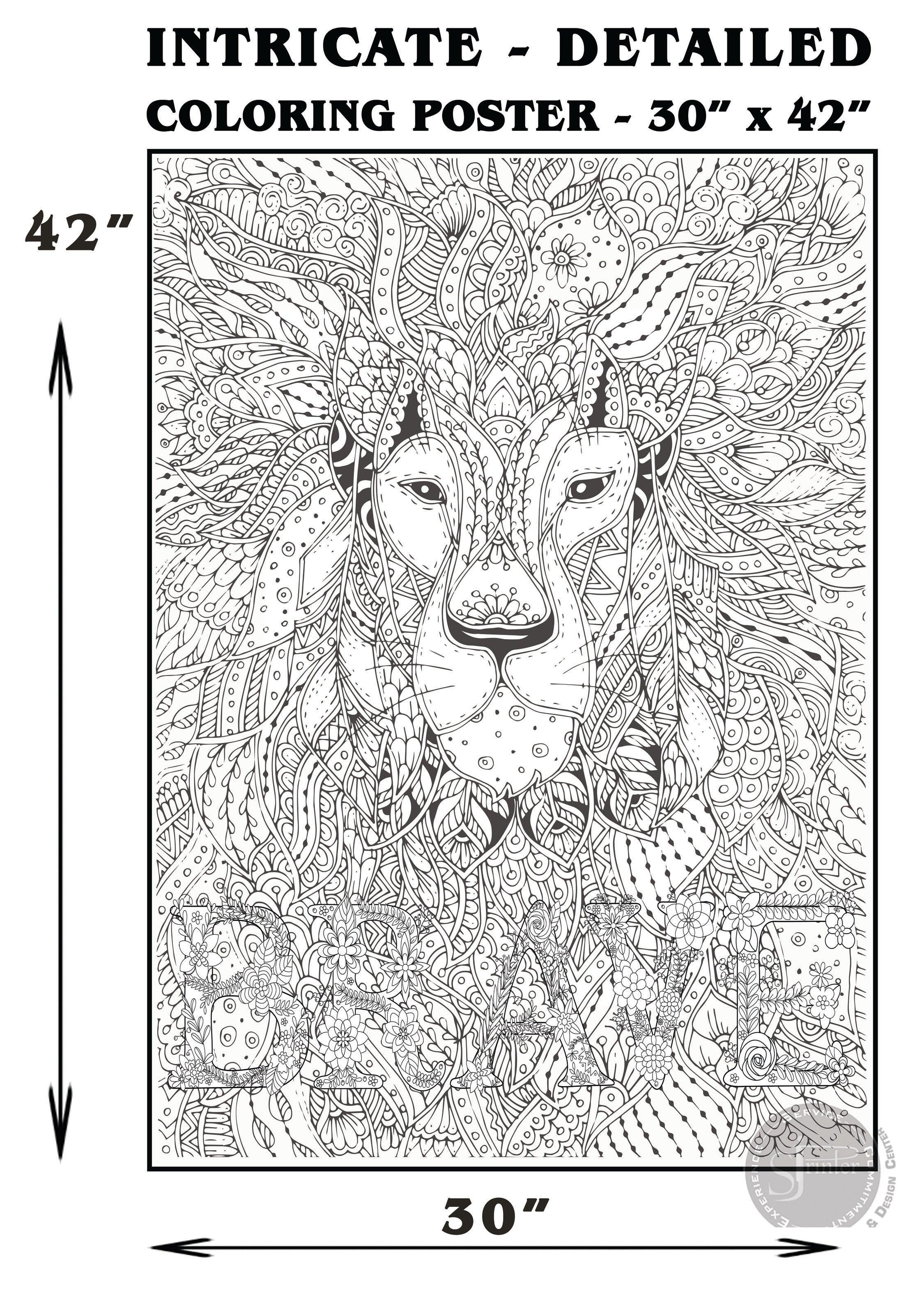 BRAVE - 30" x 42" - SJPrinter