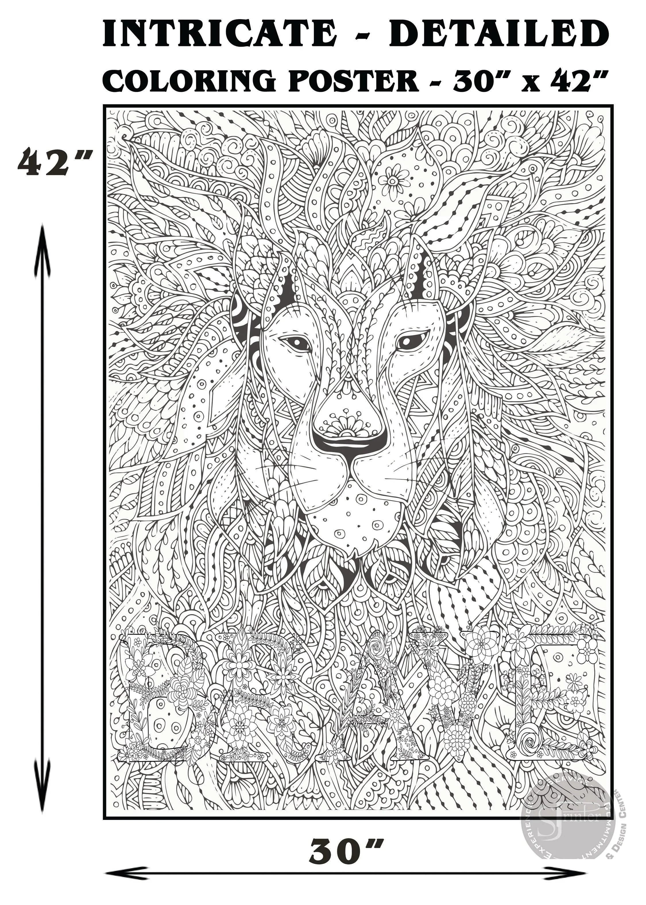 BRAVE - 30" x 42" - SJPrinter