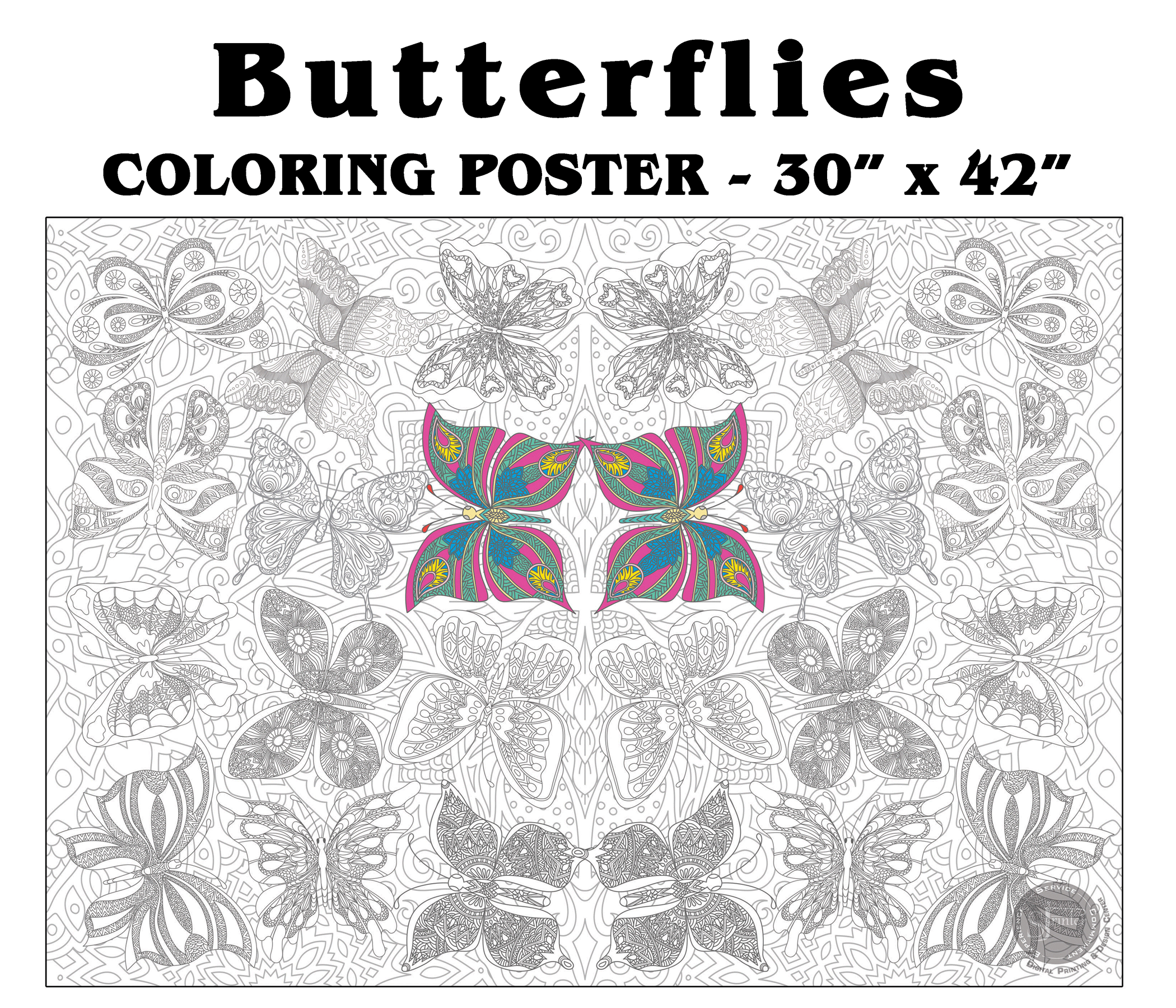 Butterflies - 30" x 42" - SJPrinter 