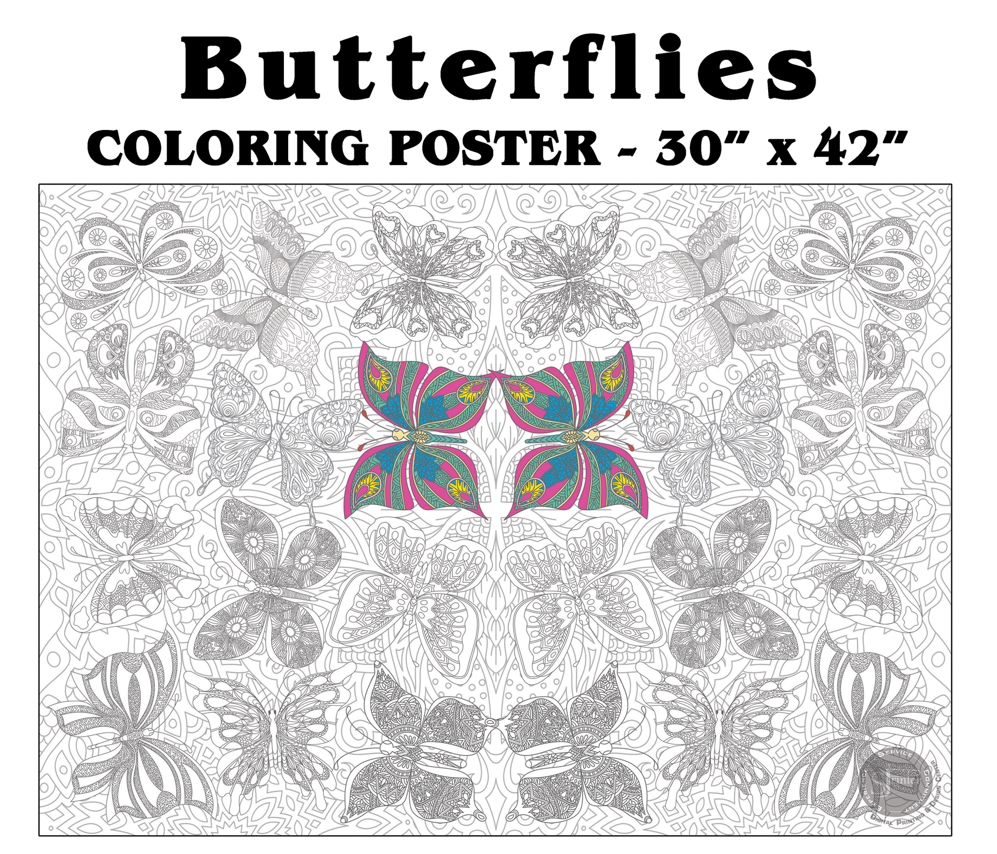 Coloring poster – Butterflies, 30×42" – giant group coloring poster