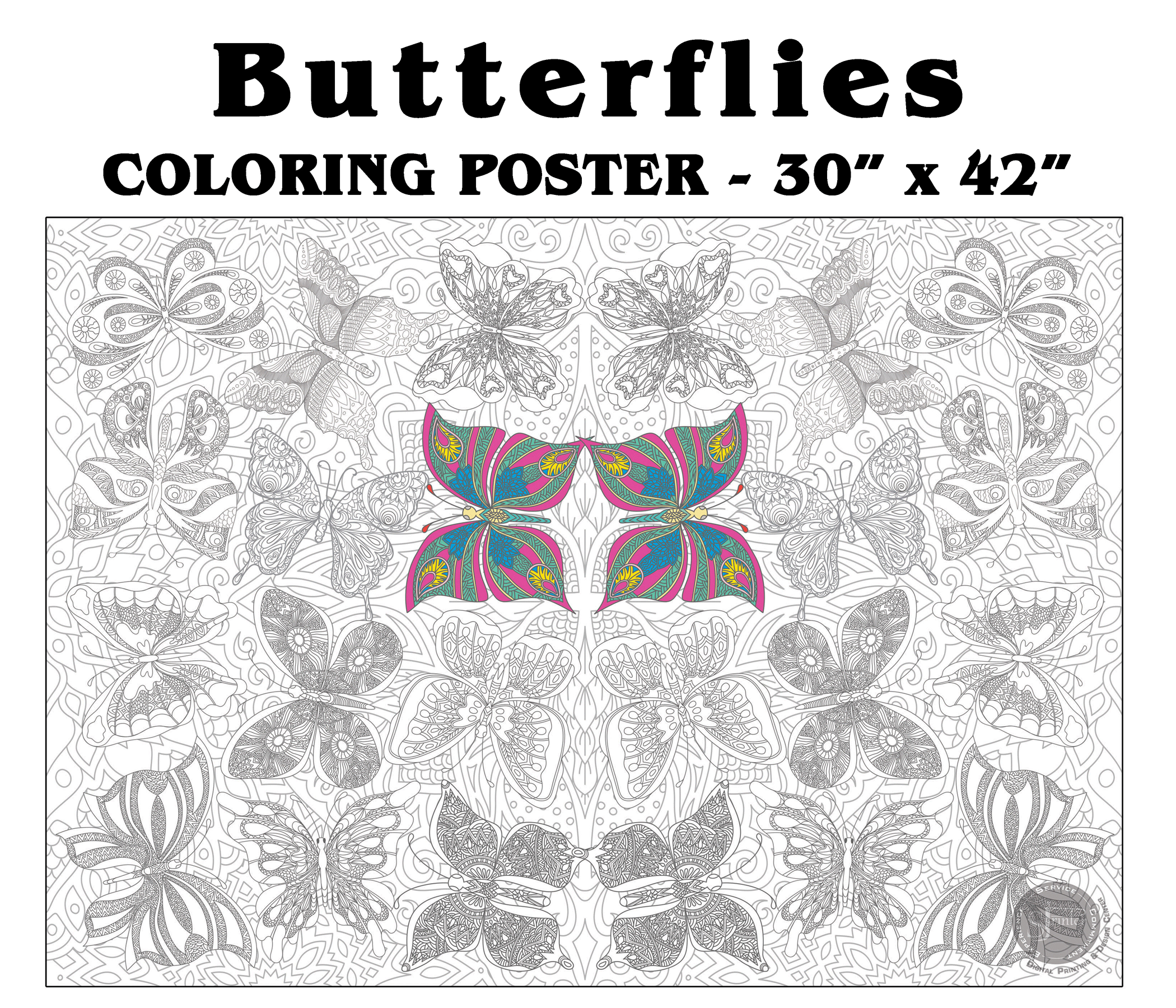 Butterflies - 30" x 42" - SJPrinter