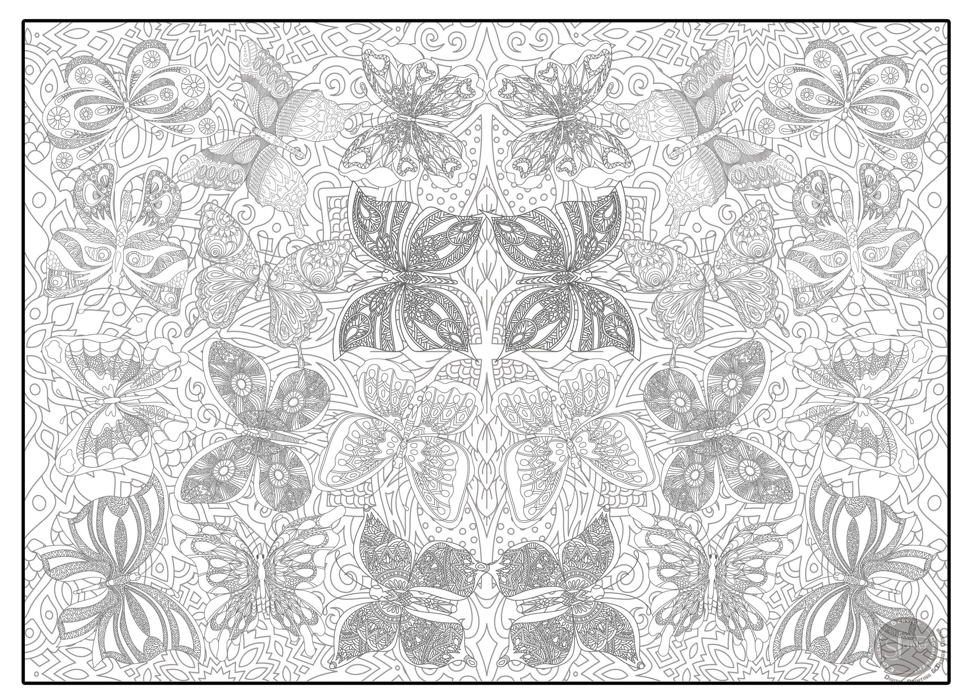 Butterflies - 30" x 42" - SJPrinter