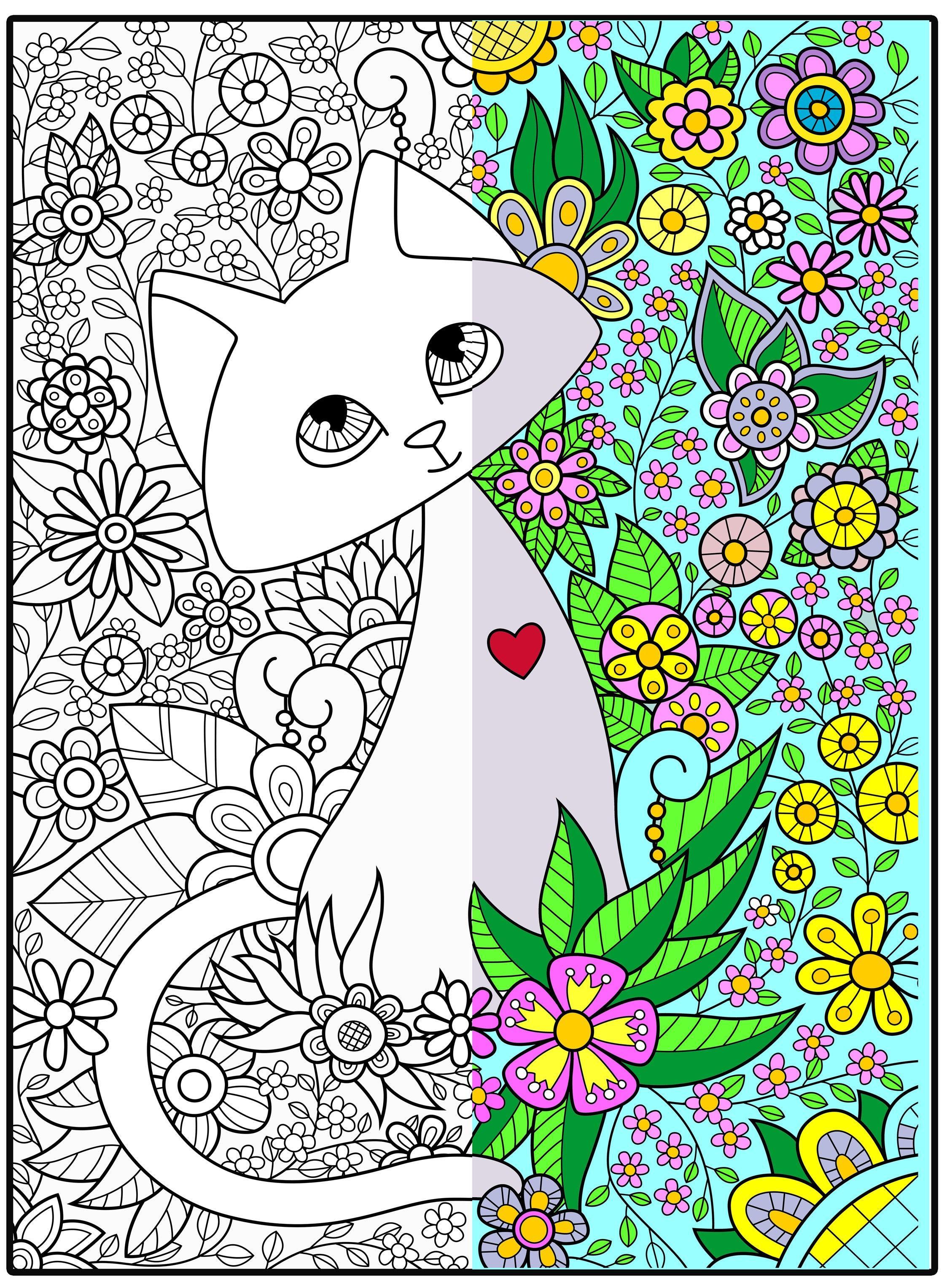 CAT - 30" x 42" - SJPrinter