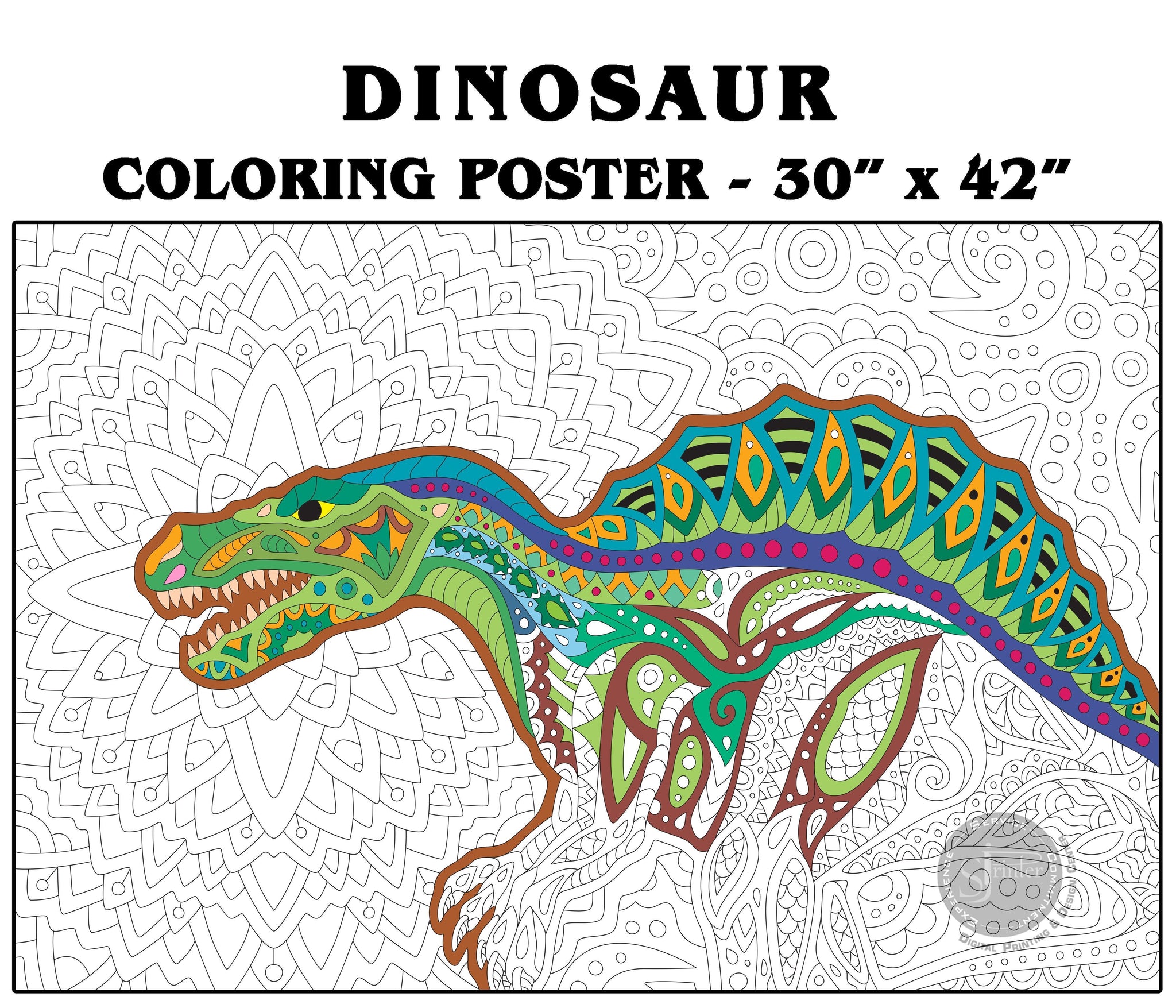 Omy Giant Coloring Poster, Dinosaurs, 40 x 28 inches, Coloring fun for  Kids, Adults, and the Whole Family, Dinos of every shape and size
