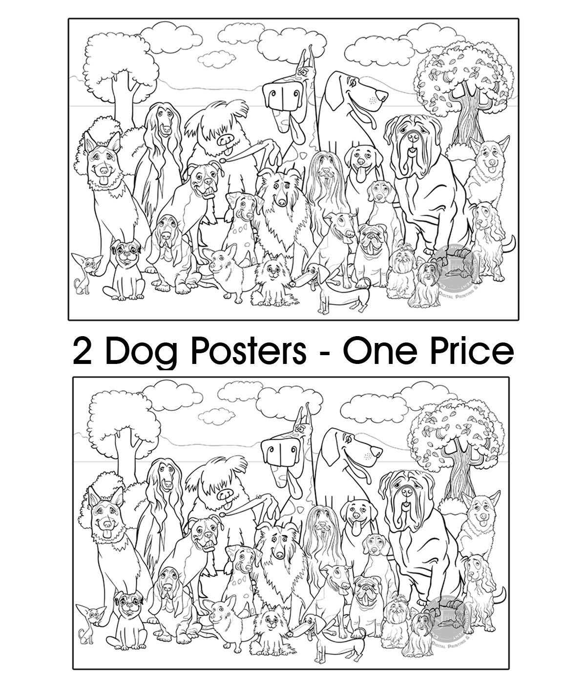 Coloring poster bundle – Dog Pound – SJPrinter Cherry Hill NJ