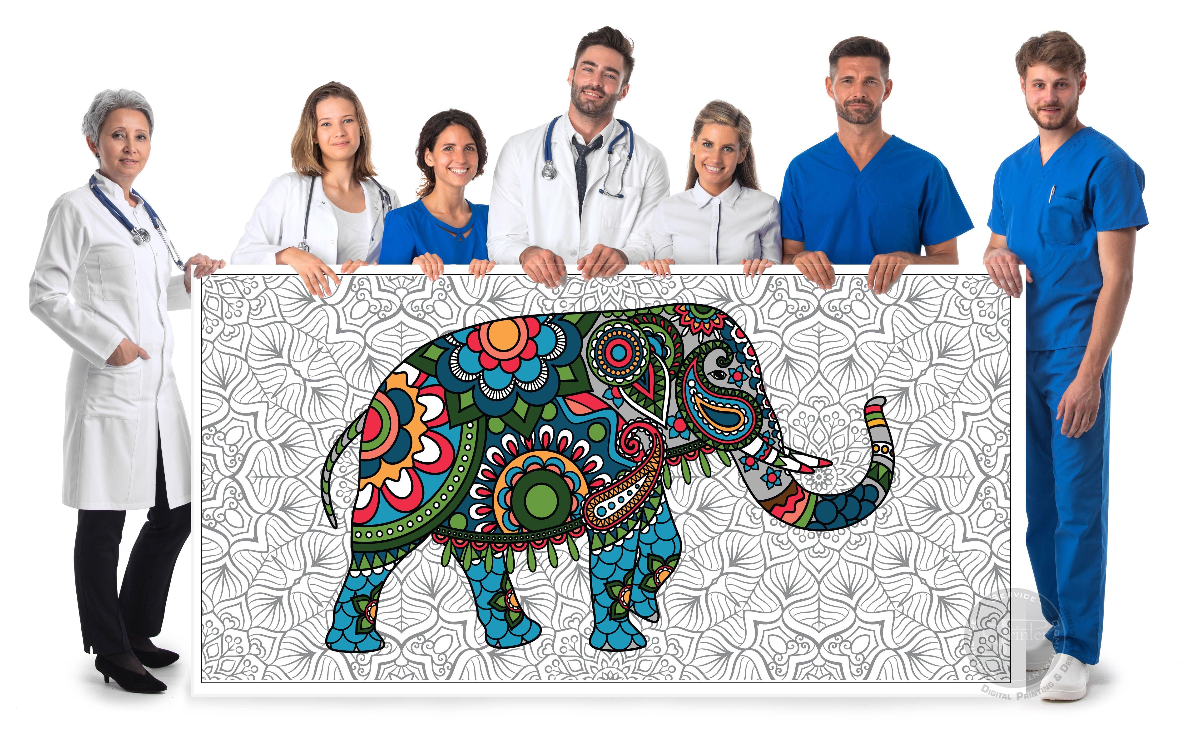 Elephant - 24" x 48" - SJPrinter