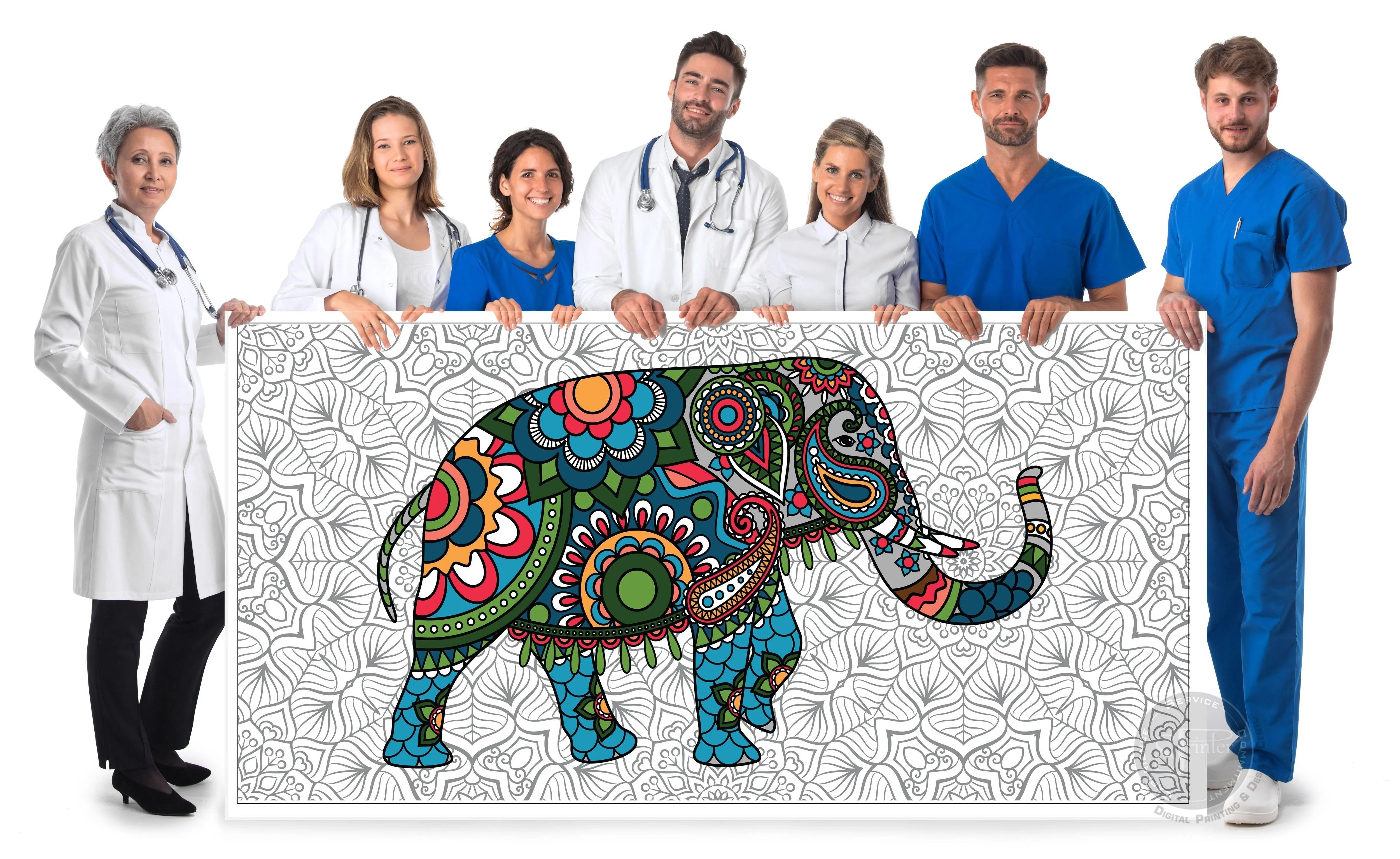 Elephant - 24" x 48" - SJPrinter