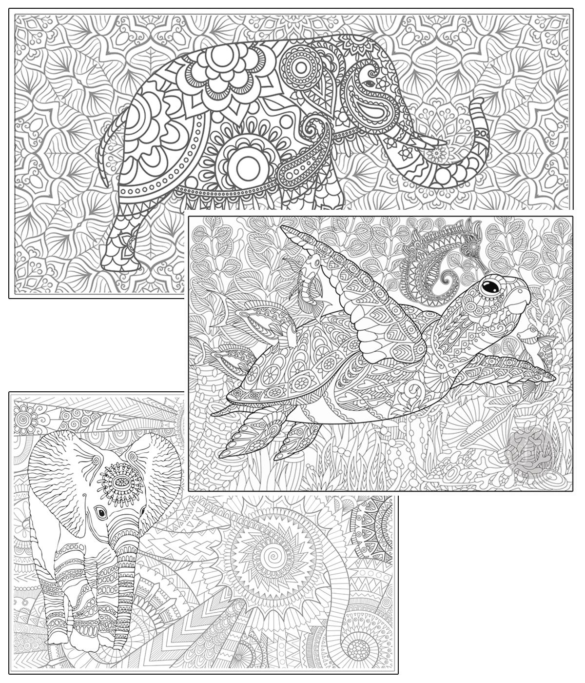 Coloring poster bundle – Elephant & Sea Turtle – SJPrinter Cherry Hill NJ