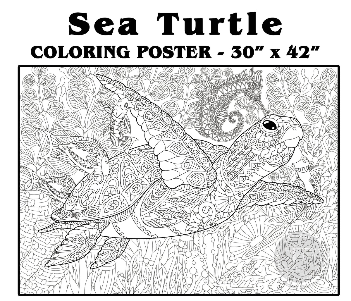 Giant SEA TURTLE coloring poster 30×42" – SJPrinter Cherry Hill NJ