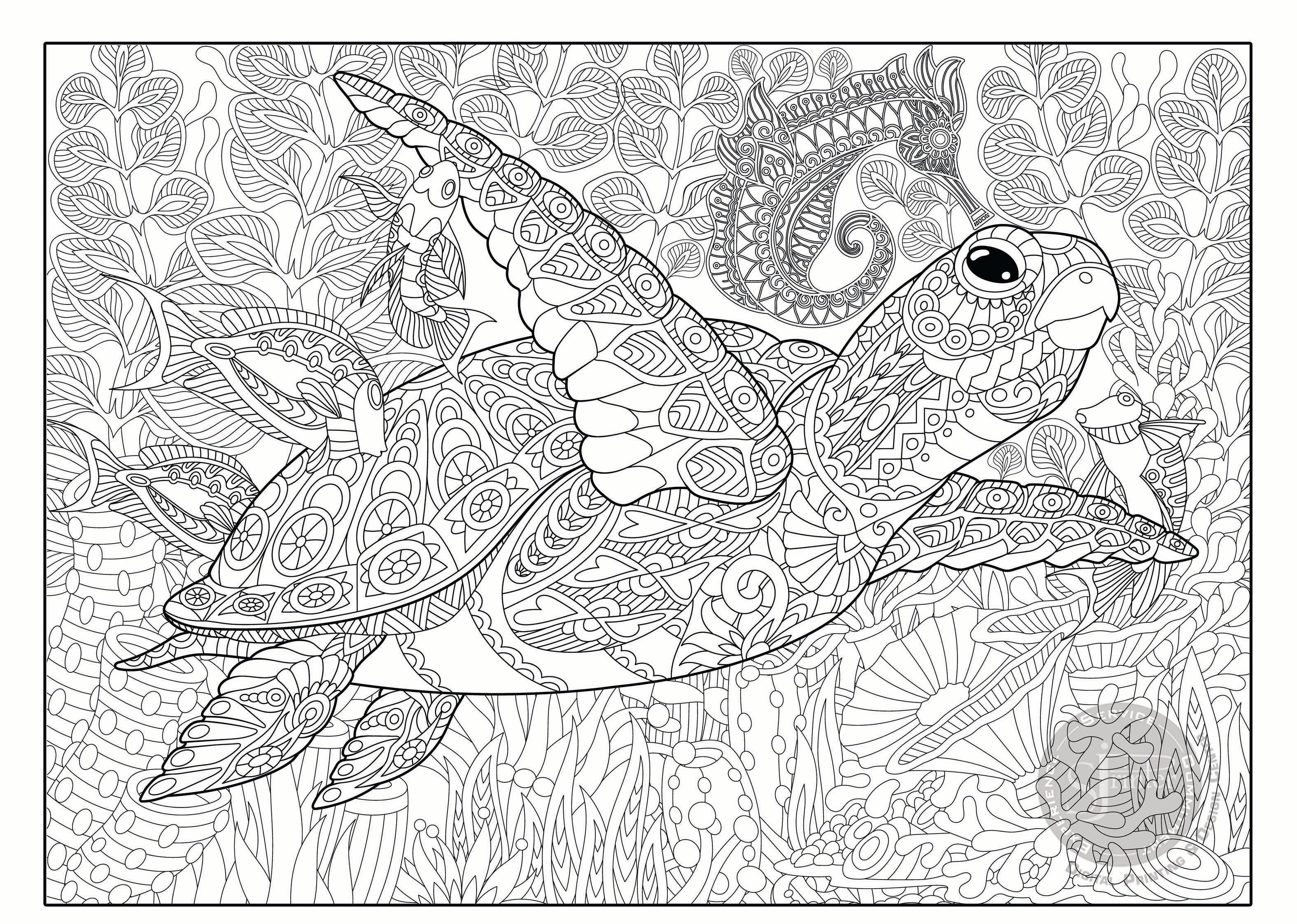 Sea Turtle - 30" x 42" - SJPrinter