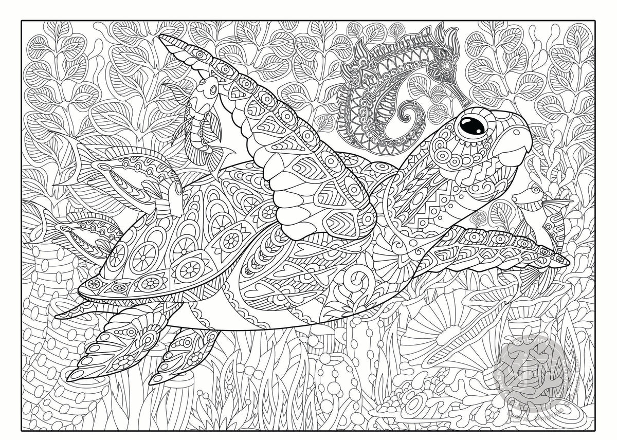 SEA TURTLE giant coloring poster 30×42" – wall-size group activity
