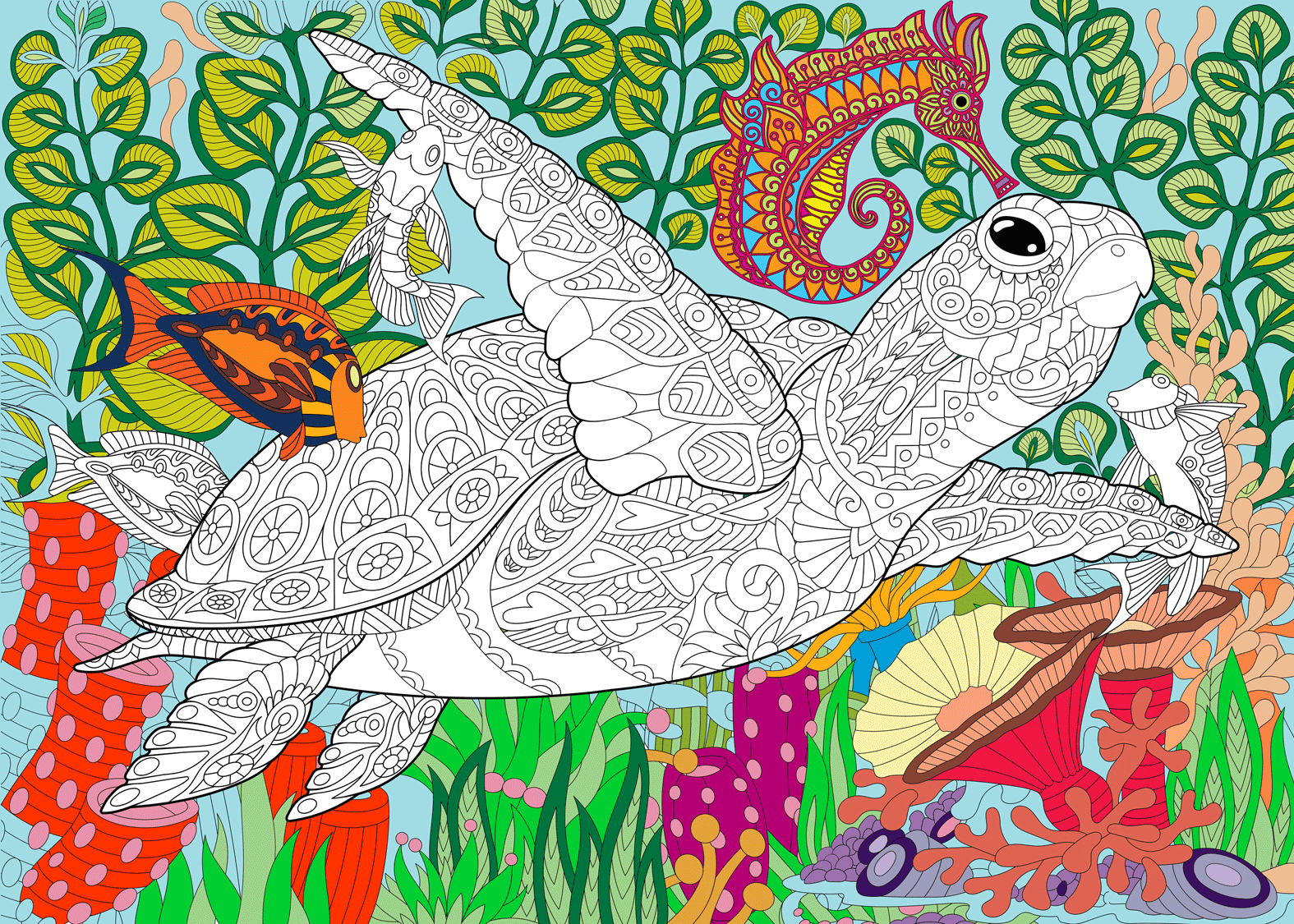 Coloring poster – SEA TURTLE, 30×42" – giant group coloring poster