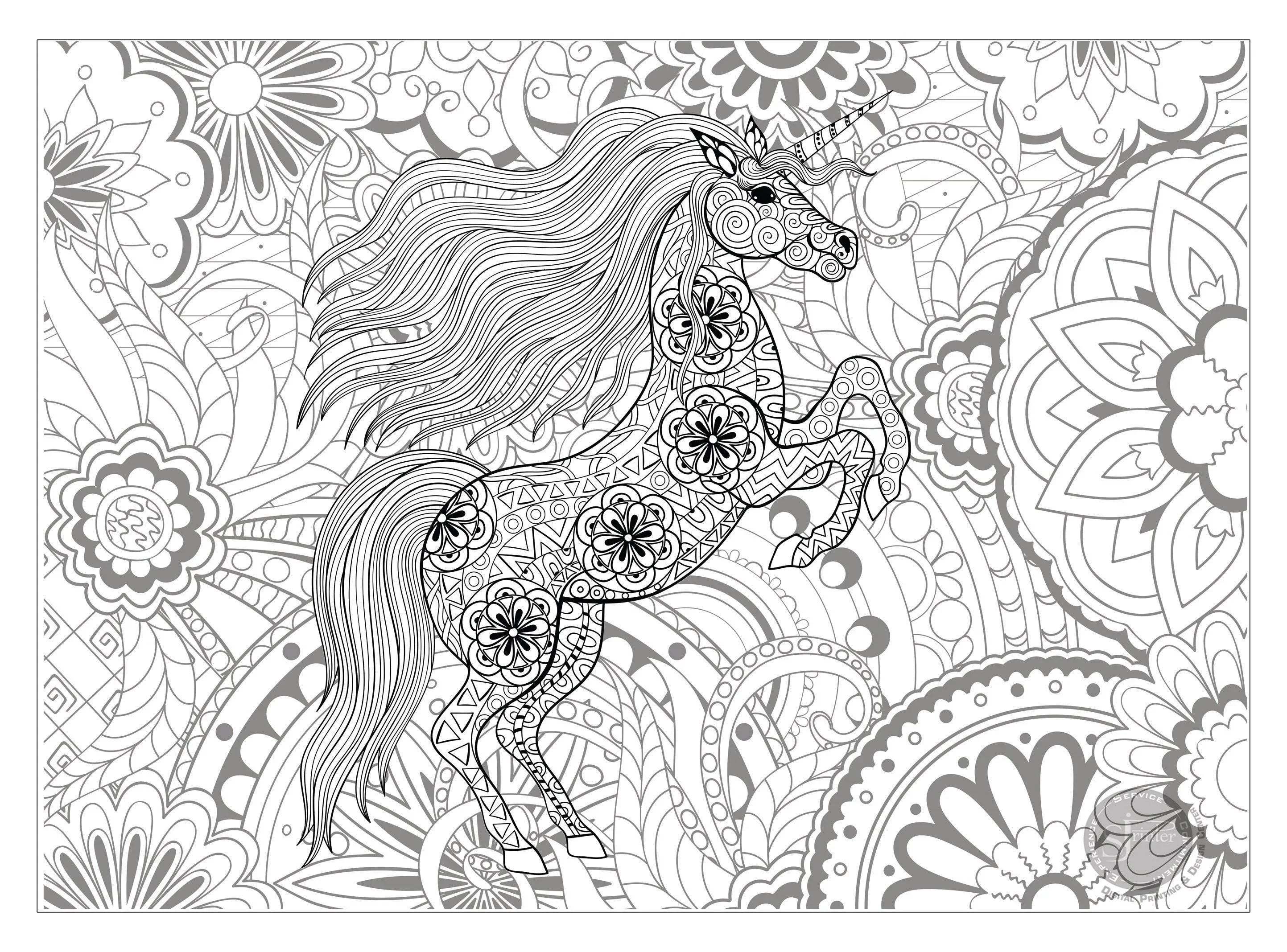 Unicorn - 30" x 42" - SJPrinter