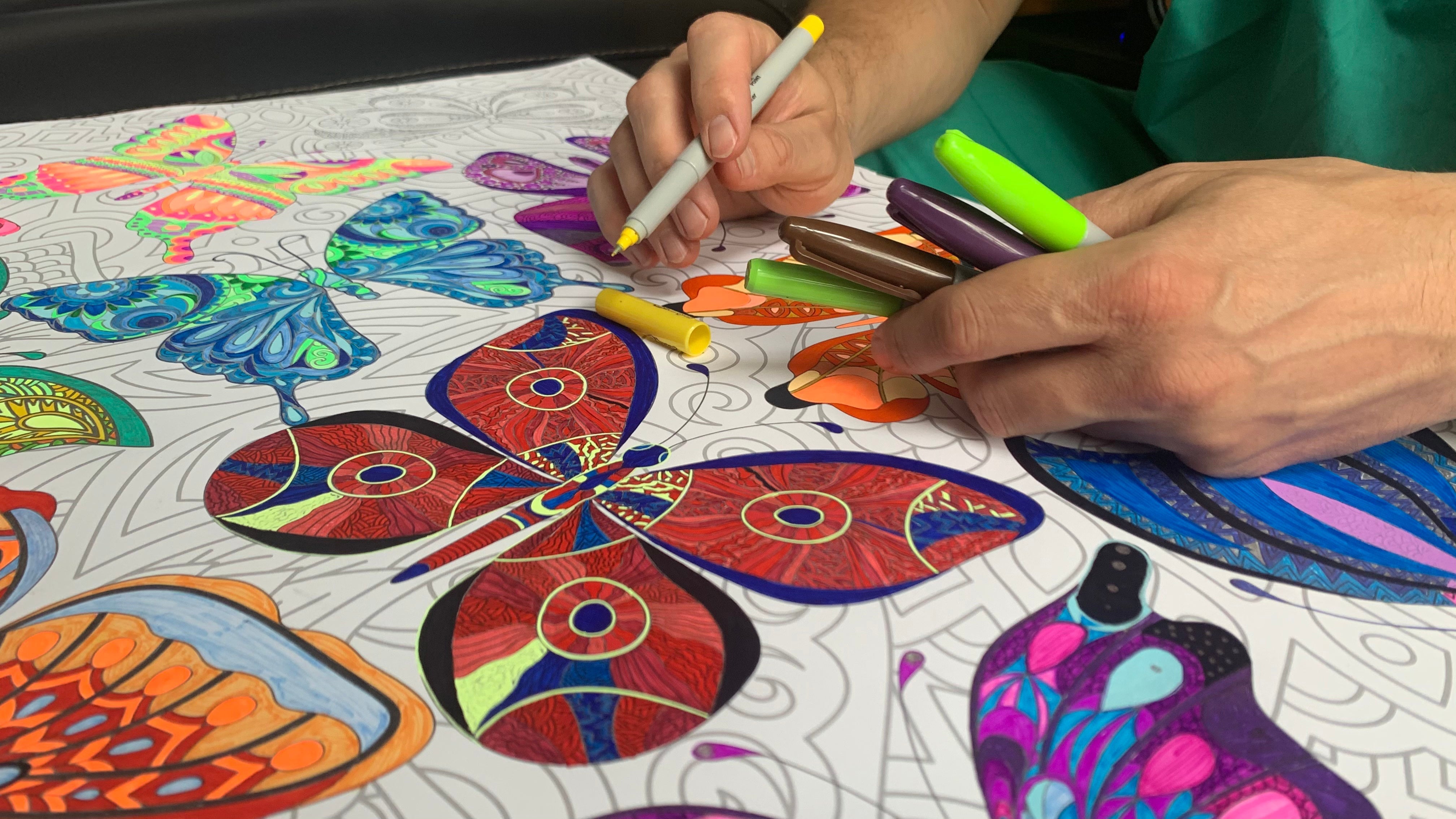Adult coloring giant butterfly poster 30x42 inches with brush pens — SJPrinter giant coloring posters Cherry Hill NJ