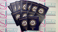Custom pretend passport booklets 40 pack 8 pages novelty passport for events by SJPrinter