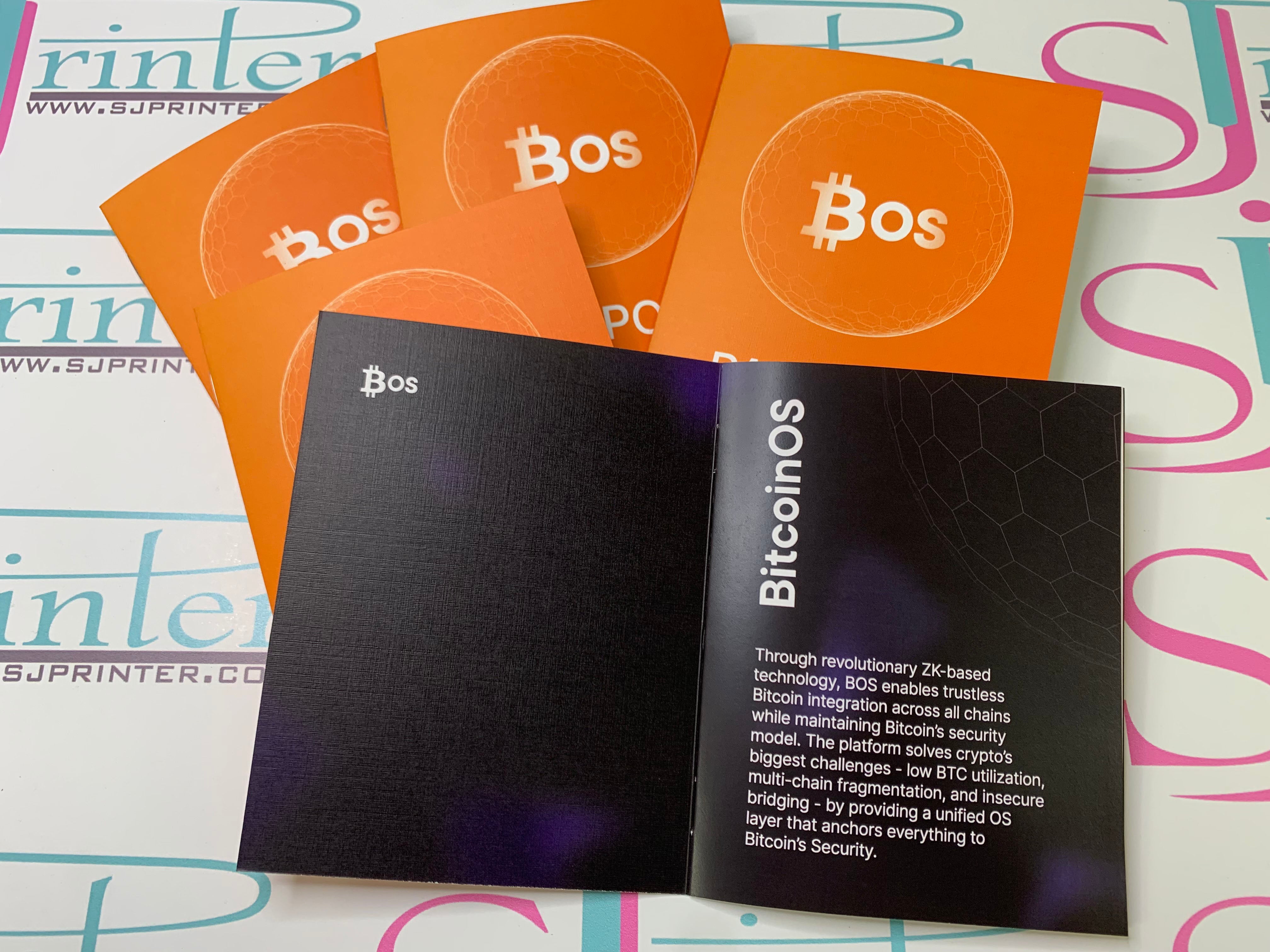 Custom Pretend Passports - 40 passports