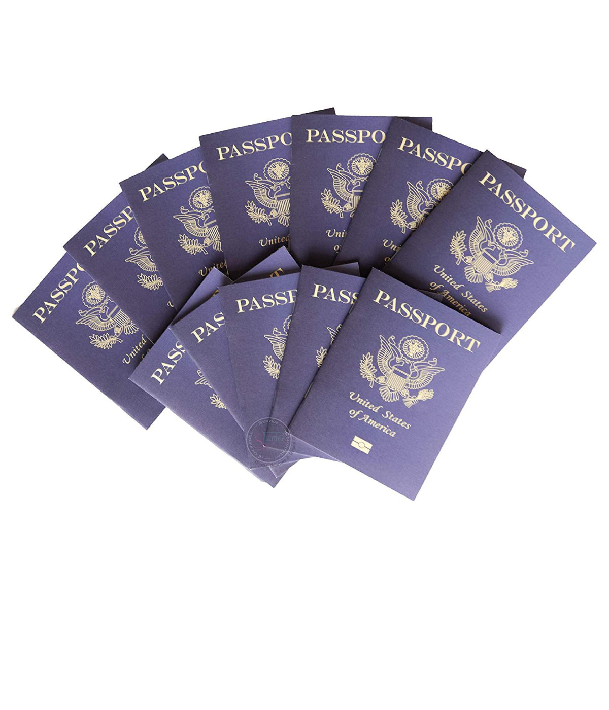 pretend passports