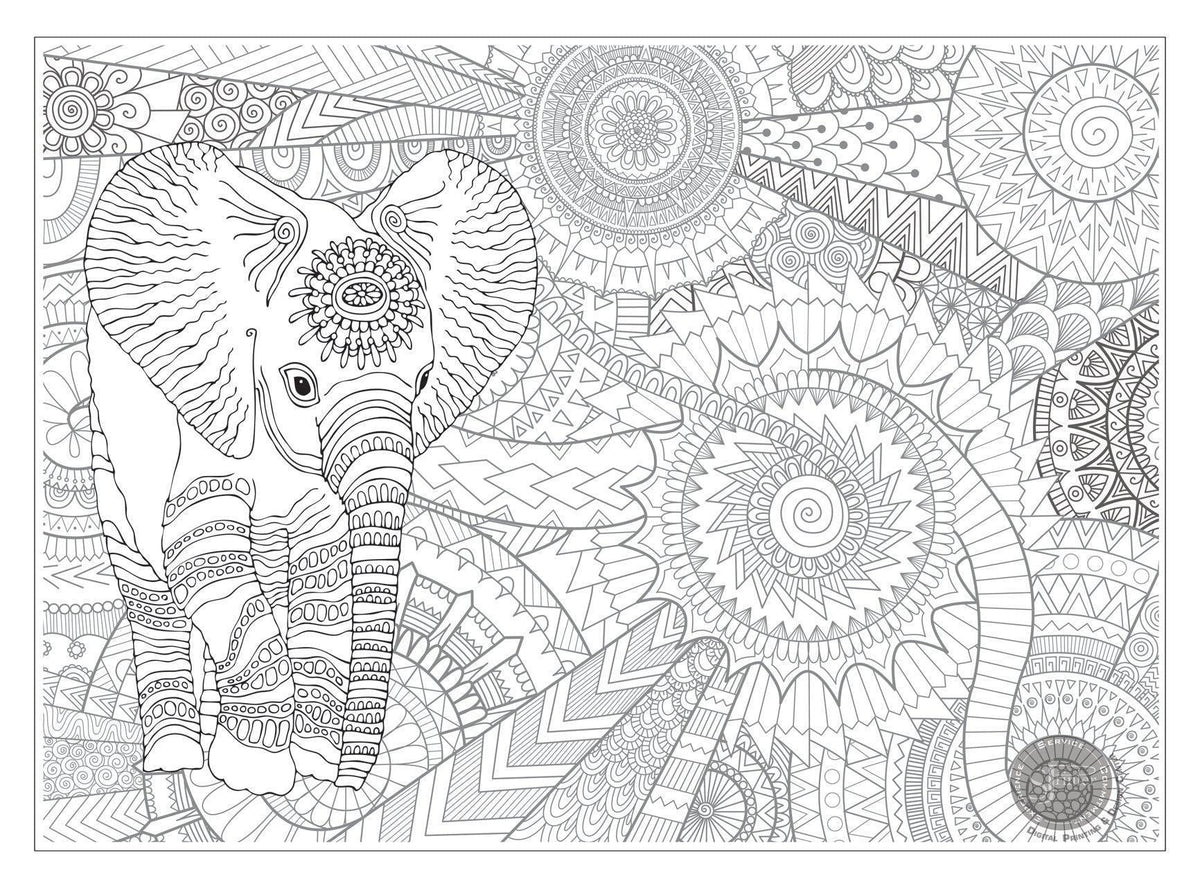 Coloring poster bundle – Elephant & Sea Turtle – SJPrinter Cherry Hill NJ