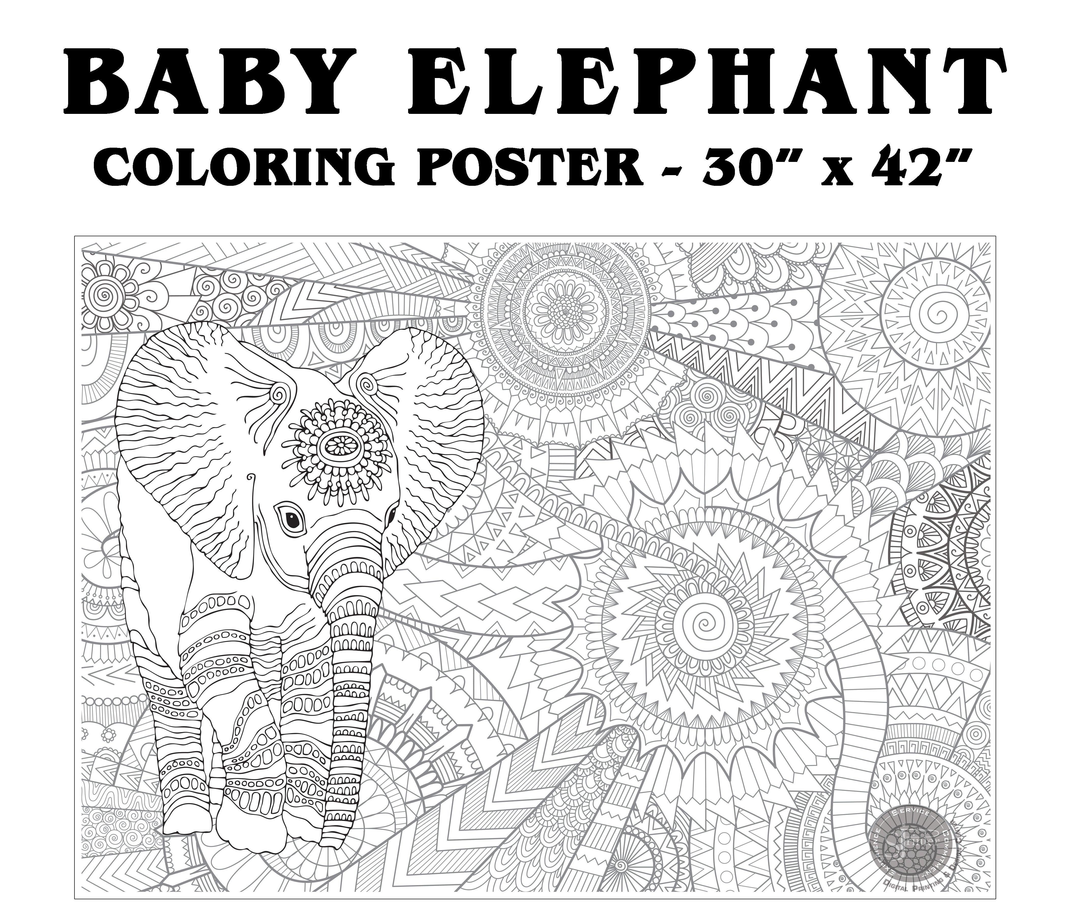 Baby Elephant - 30" x 42" - SJPrinter 