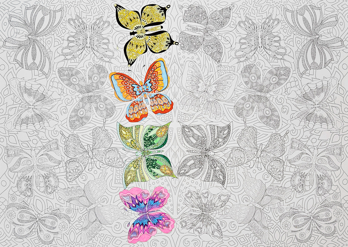 Butterflies coloring poster 30×42" – intricate line art, printed in USA