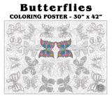 Coloring poster – Butterflies, 30×42" – giant group coloring poster