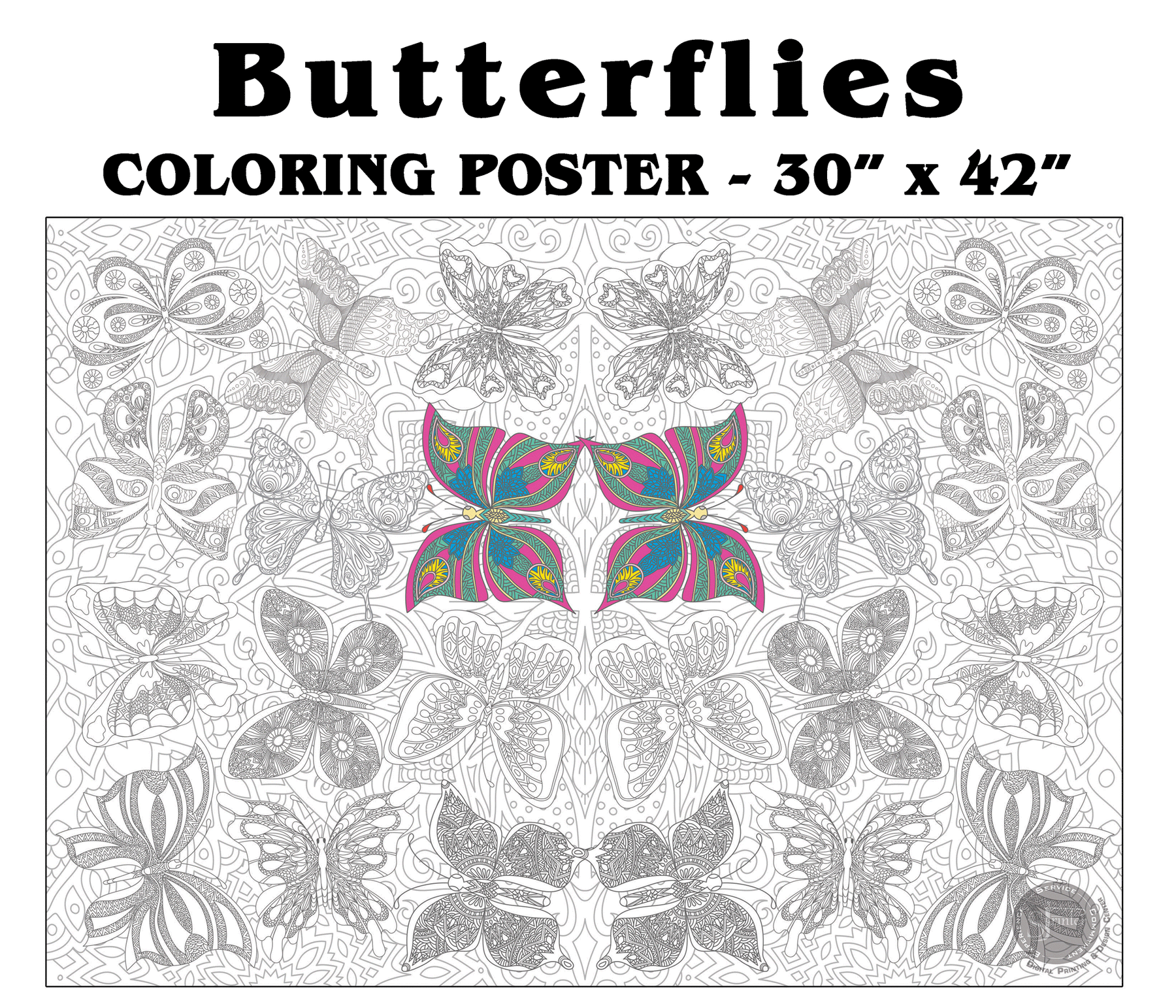 Coloring poster – Butterflies, 30×42" – giant group coloring poster