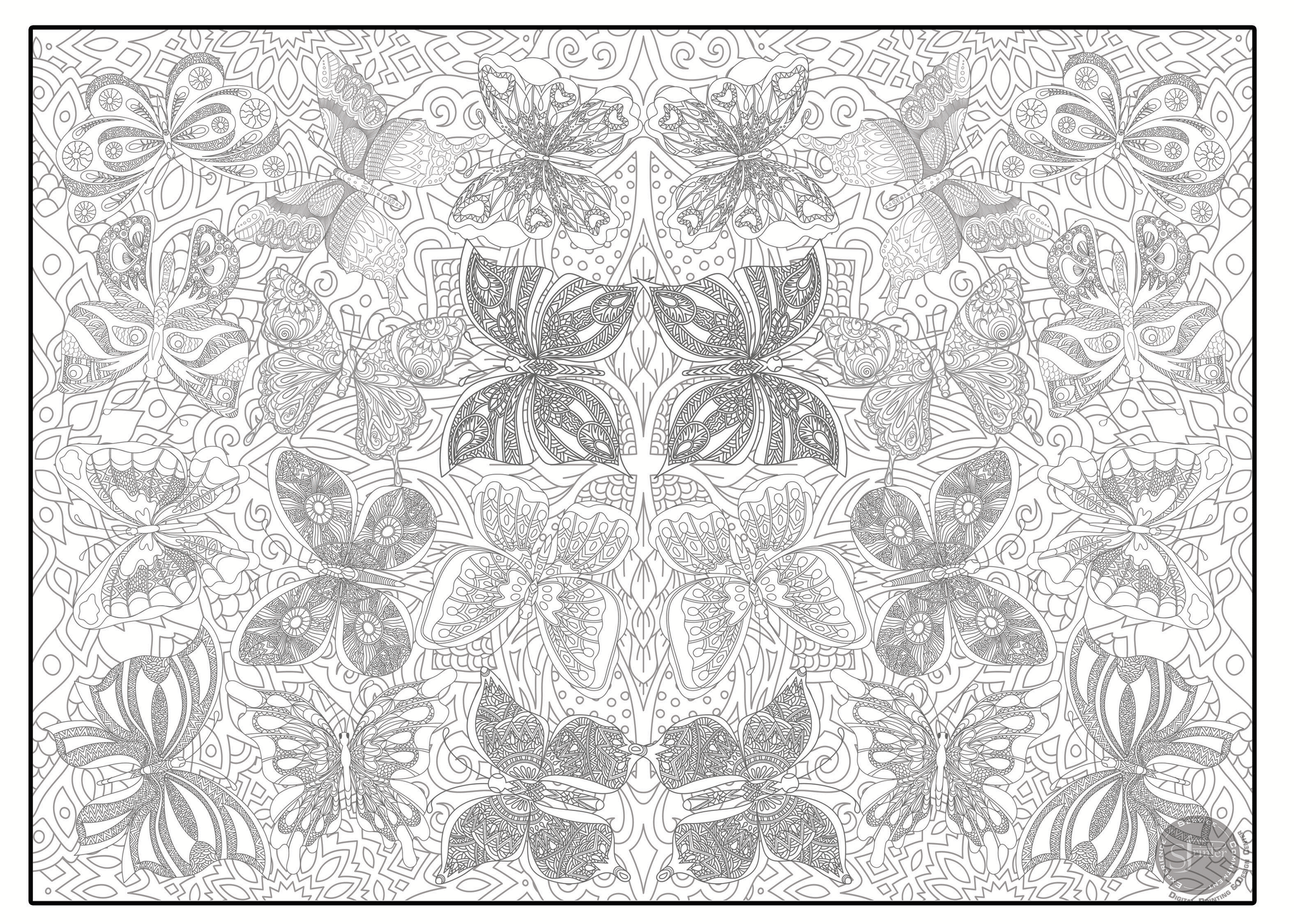 Coloring poster – Butterflies, 30×42" – giant group coloring poster