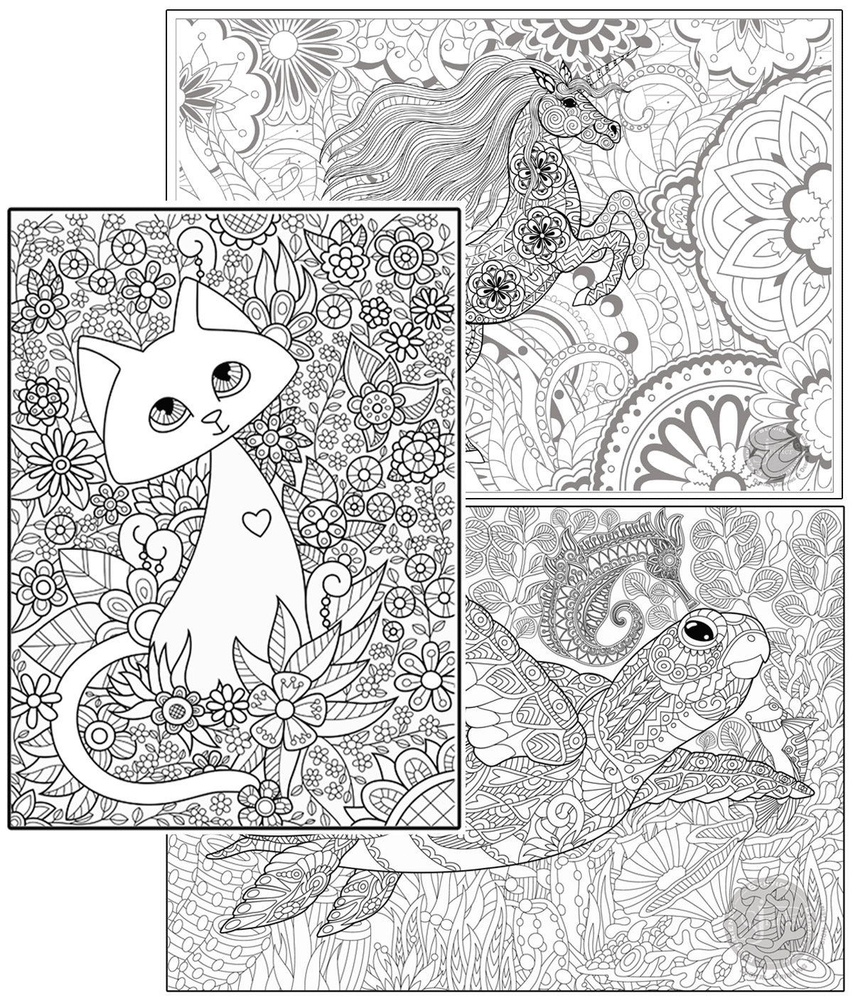 Coloring poster bundle – CAT, Unicorn & Sea Turtle – SJPrinter Cherry Hill NJ