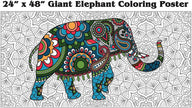 Giant Elephant Mandala giant coloring poster 24×48" – wall-size group activity