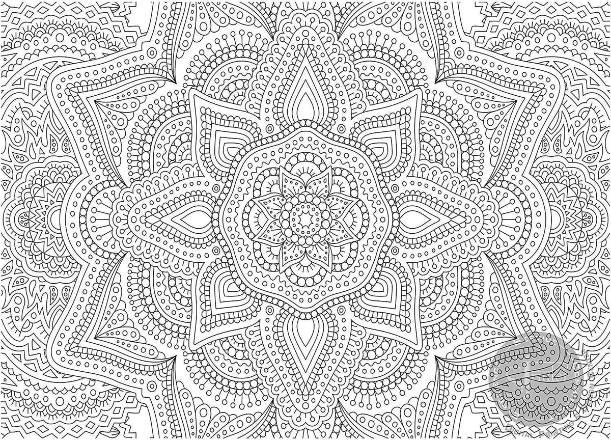 Floral Mandala coloring poster 30×42" – intricate line art, printed in USA