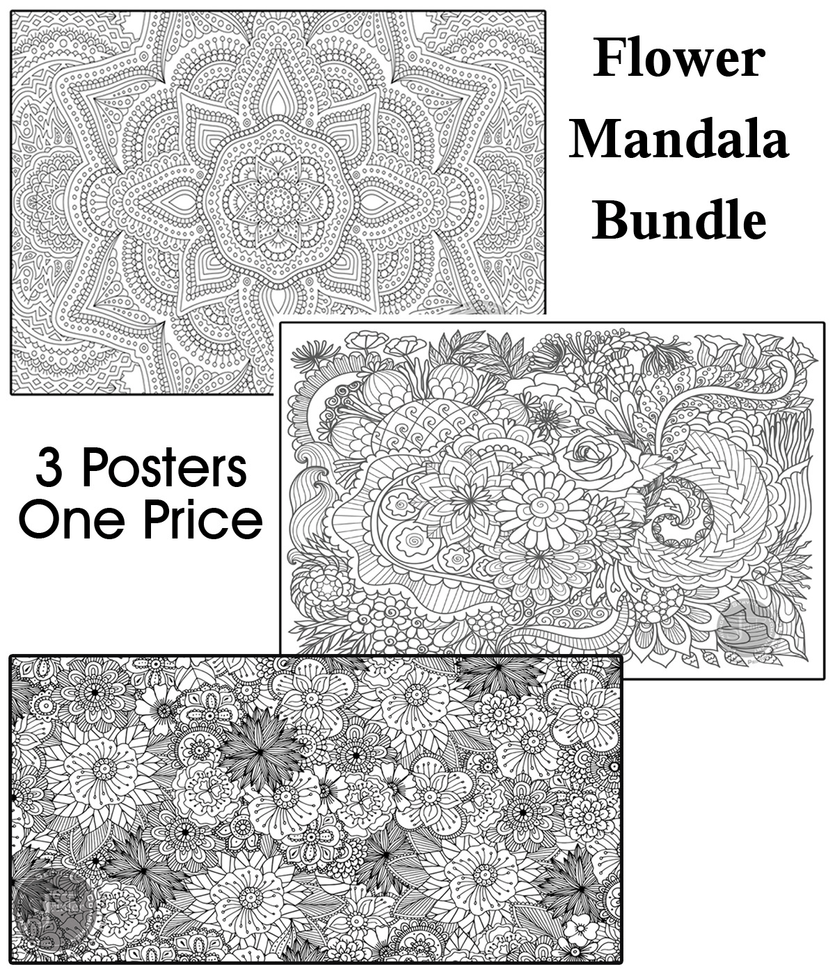 Coloring poster bundle – Flower Mandala + Flower Garden + Flowers – SJPrinter Cherry Hill NJ