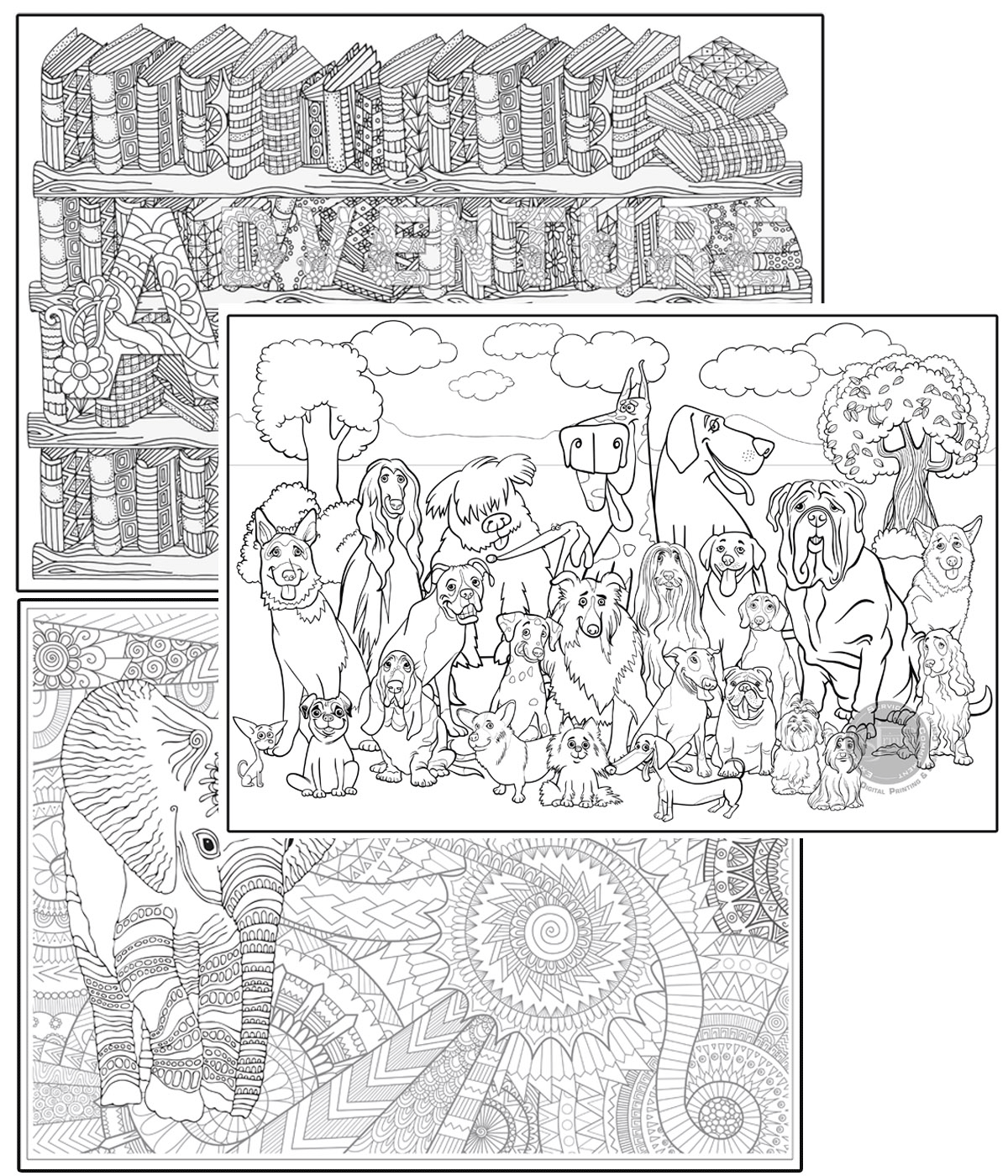 Coloring poster bundle – Library + Dog Pound + Baby Elephant – SJPrinter Cherry Hill NJ