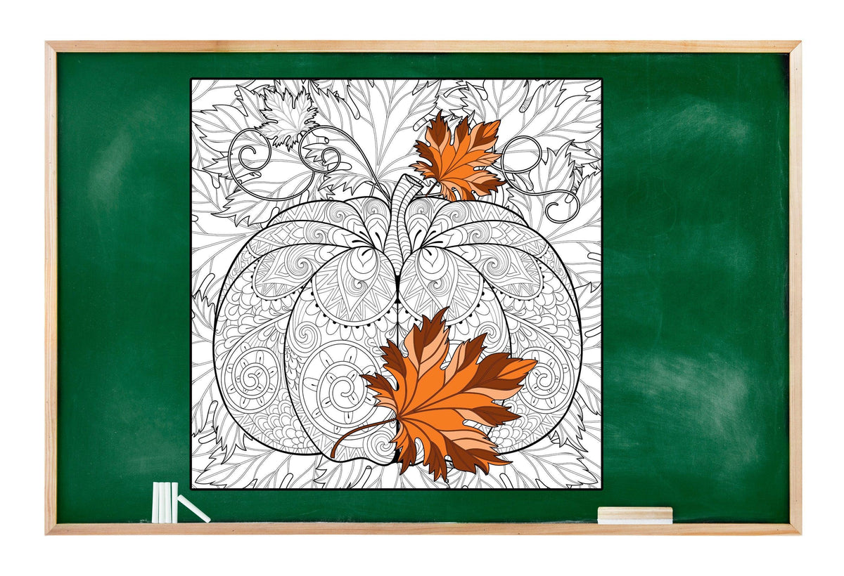 Giant Giant Coloring Poster Pumpkin — Intricate coloring poster 30×30" – SJPrinter Cherry Hill NJ