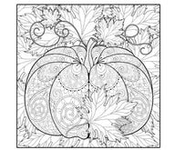 Giant Coloring Poster Pumpkin — Intricate coloring poster 30×30" – intricate line art, printed in USA