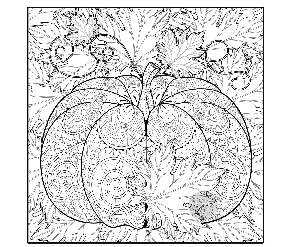 Giant Coloring Poster Pumpkin — Intricate coloring poster 30×30" – intricate line art, printed in USA