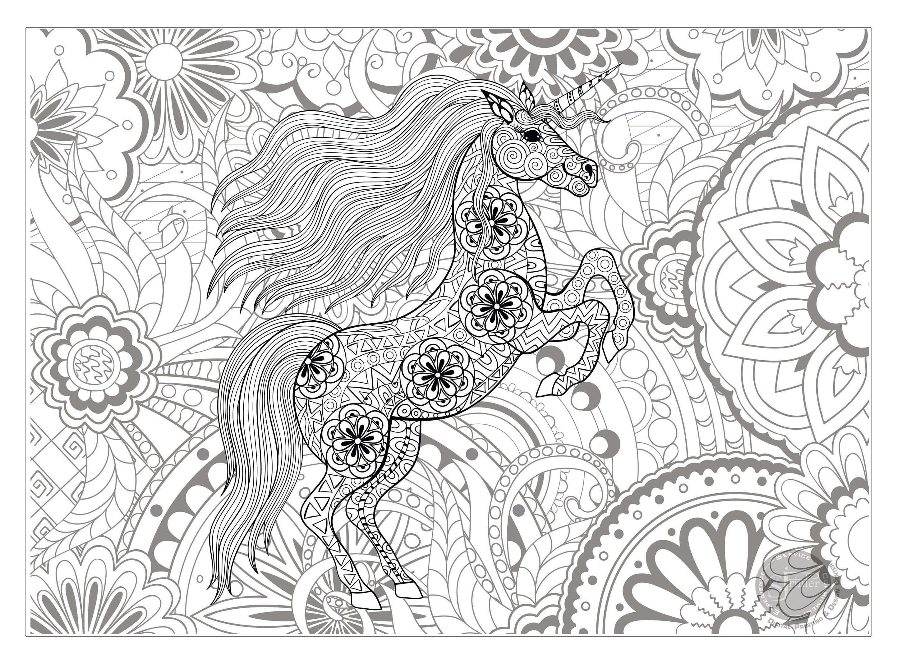 Unicorn - 30" x 42" - SJPrinter 